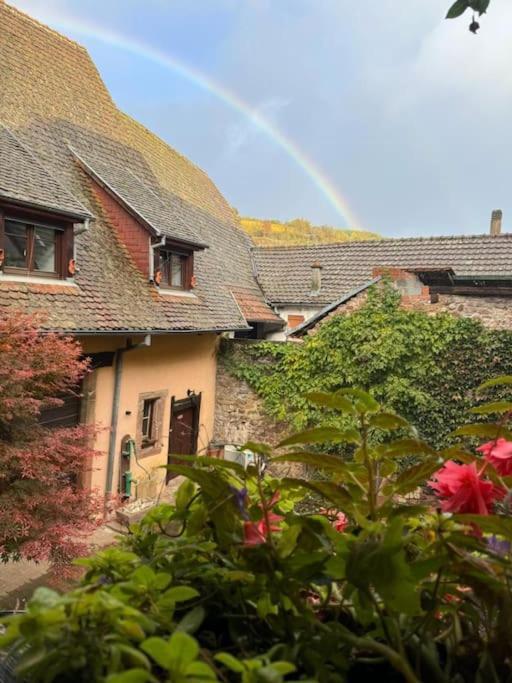 Entre Vignes Et Vergers Gite Parenthese Gueberschwihr Exterior photo