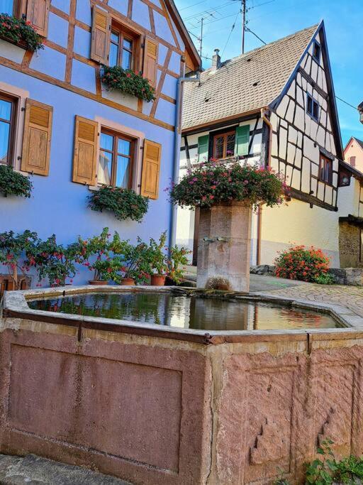 Entre Vignes Et Vergers Gite Parenthese Gueberschwihr Exterior photo