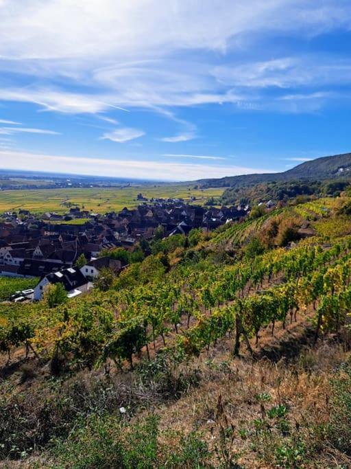 Entre Vignes Et Vergers Gite Parenthese Gueberschwihr Exterior photo